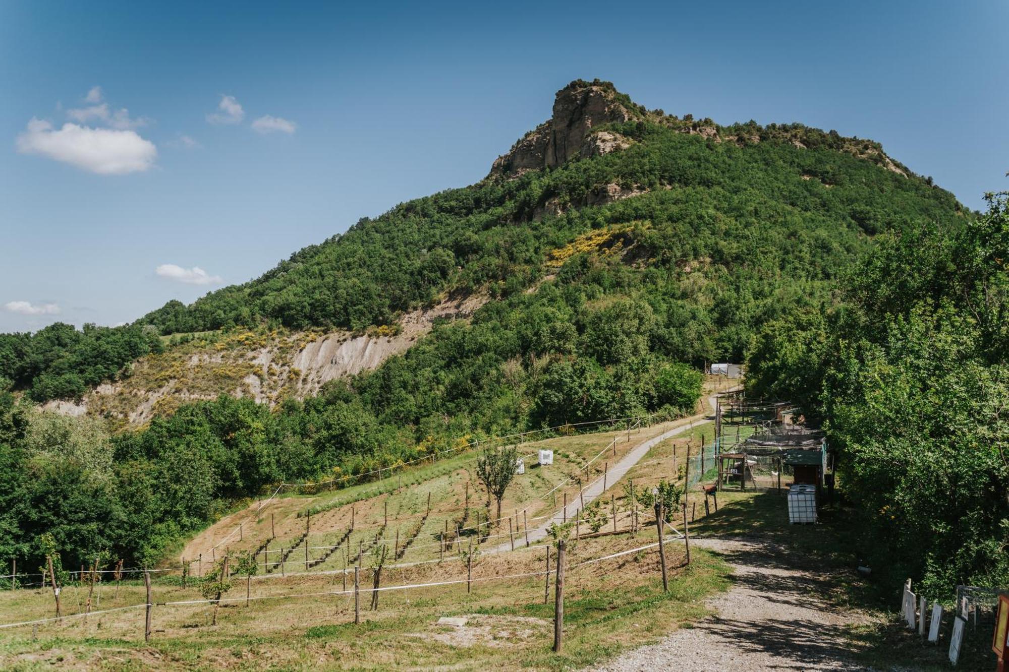 Agricampeggio Ca Di Mazza Monzuno Екстер'єр фото